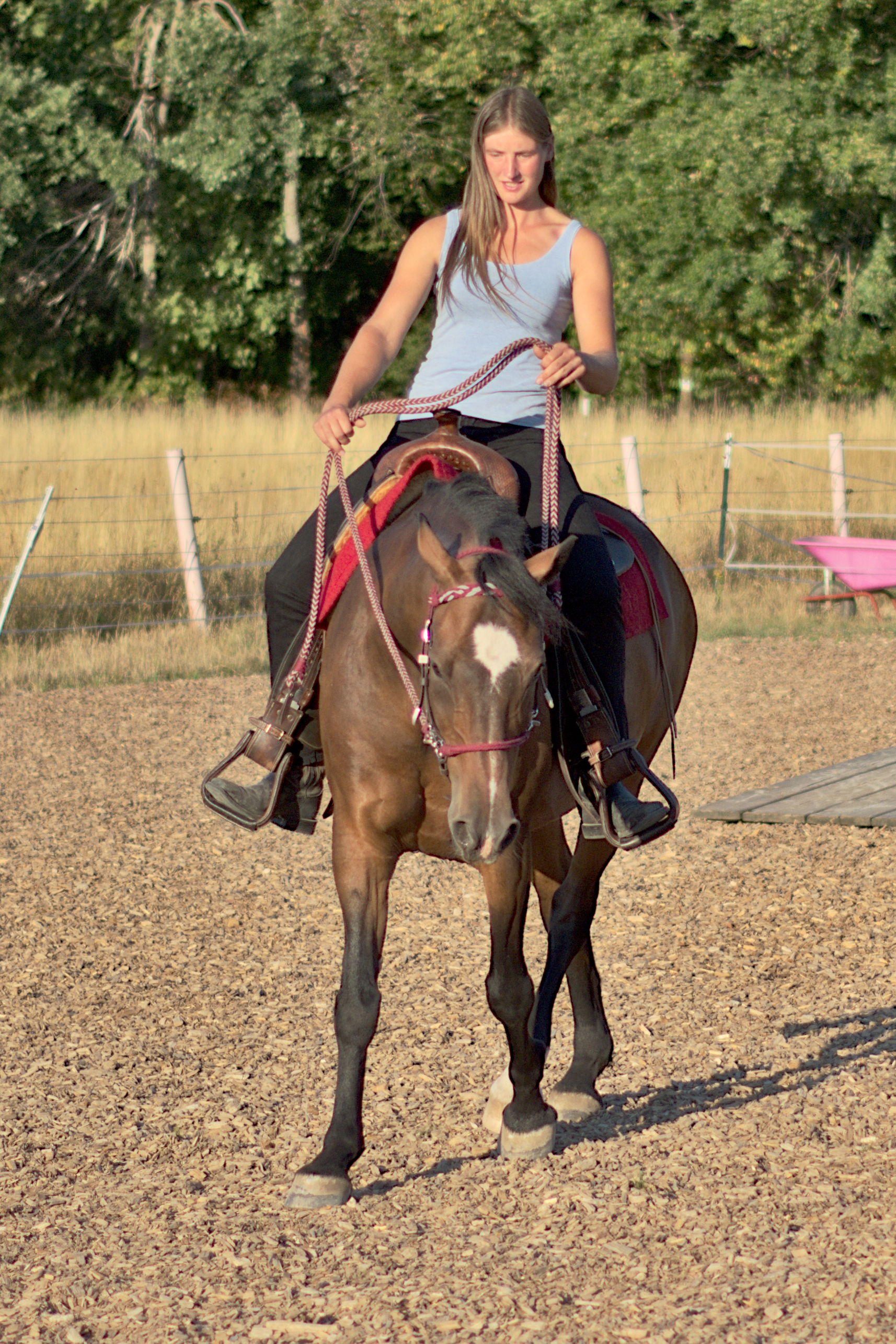 Praktische Umsetzung beim Reiten