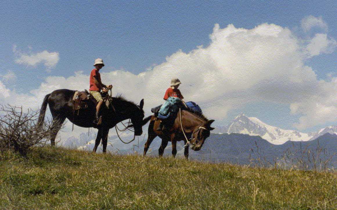 Kinder Berge 5