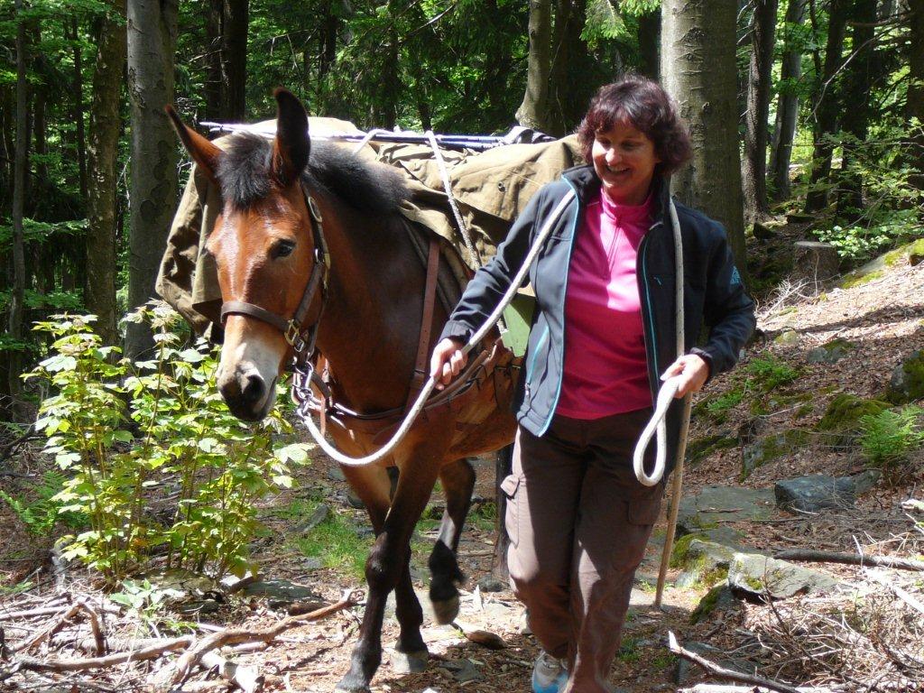 Packmuli groß