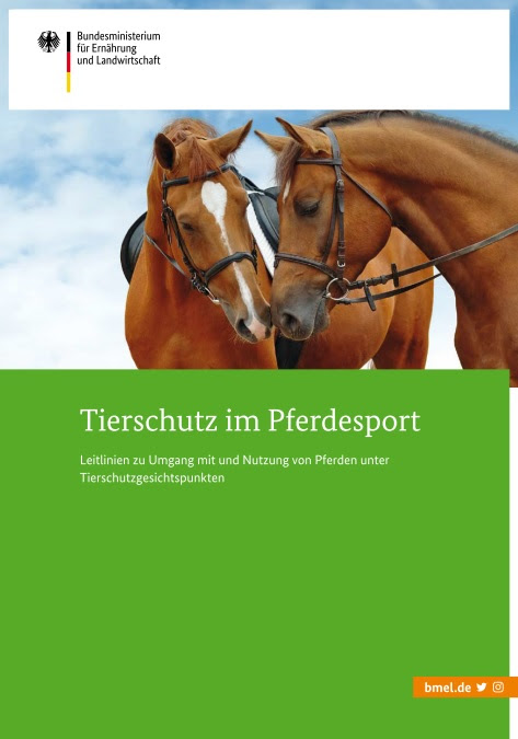 Tierschutz im Pferdesport