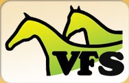 vfs